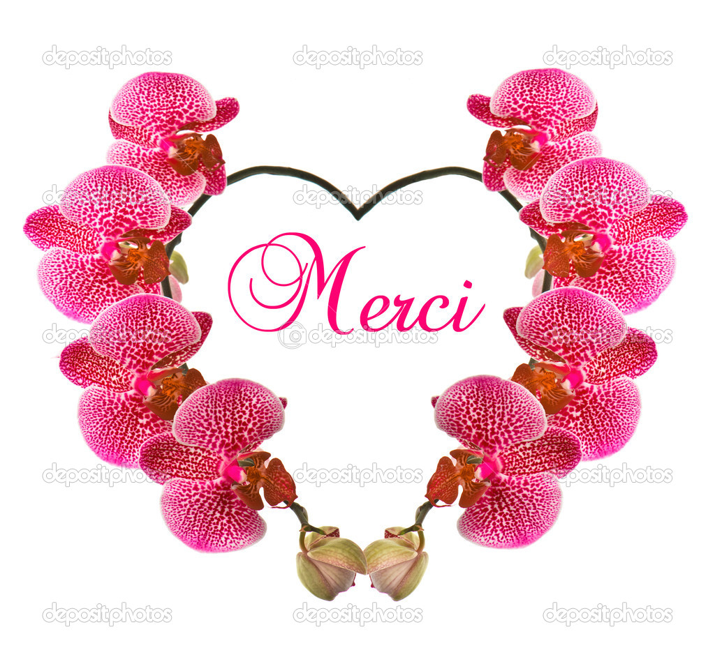depositphotos_13401267-beautiful-orchid-flower-in-heart-shape.jpg