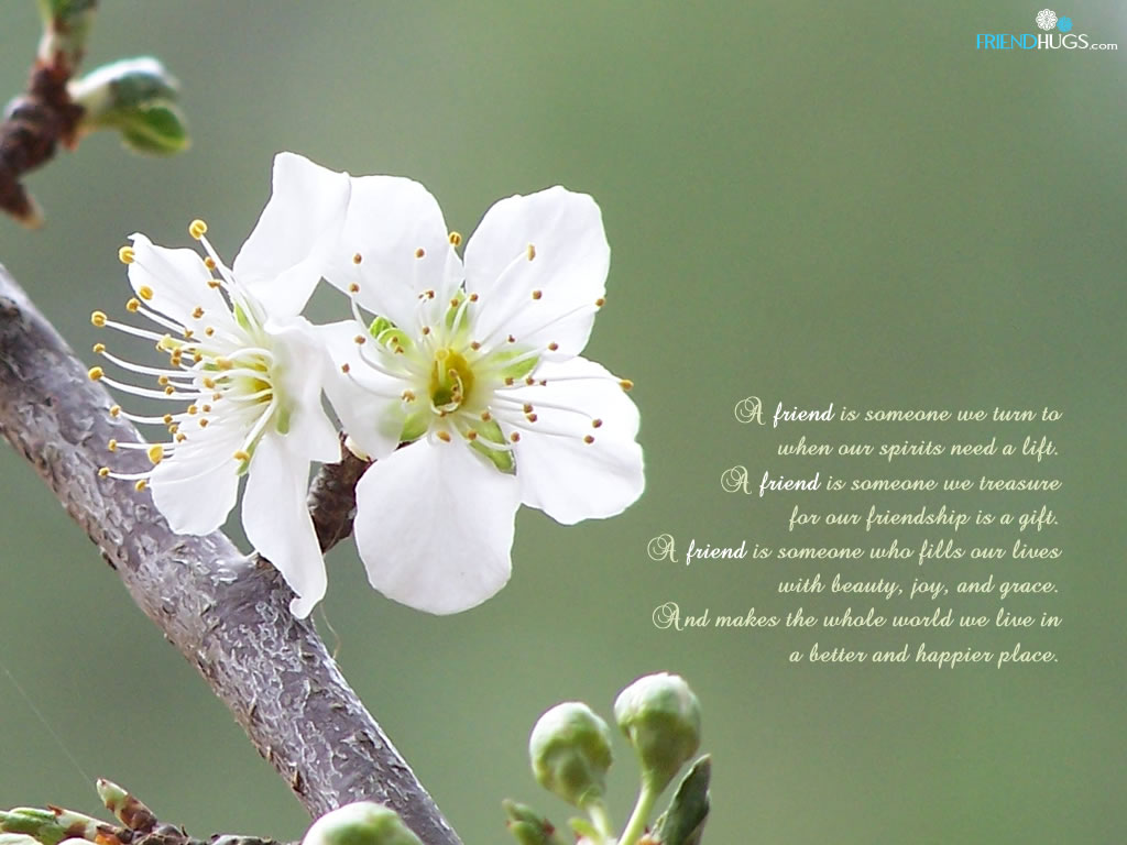 friendship-poem-wallpaper5.jpg