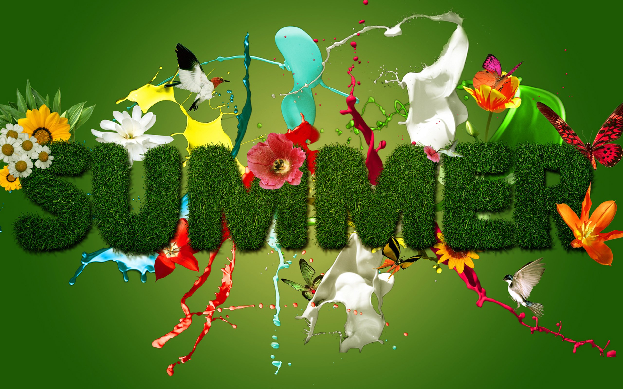 hd-wallpapers-summer-cute-flower-9to5hd-desktop-wallpaper-2560x1600-wallpaper.jpg