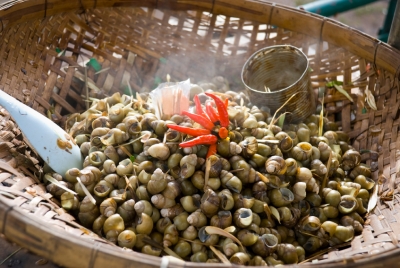 iStock_000011122308Small.jpg